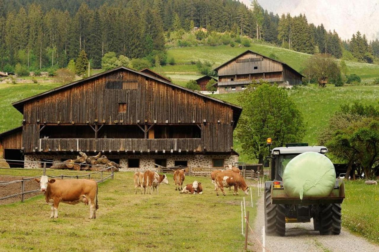 Moserhof Ferienwohnung Sunnseit Sarentino 외부 사진